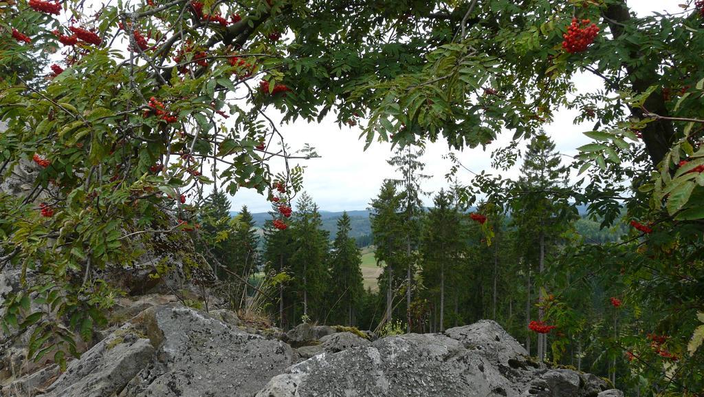 Landidyll Landhaus Liesetal Hallenberg Εξωτερικό φωτογραφία